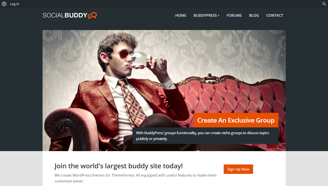 Social Buddy - WordPress & BuddyPress Theme