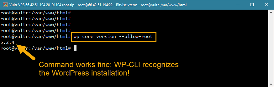 wp-cli Root-Zugriffsfehler Lösung WordPress