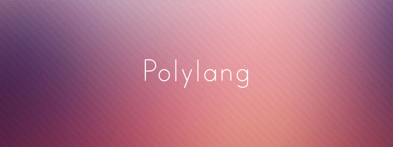Übersetzen Sie WordPress mit Polylang