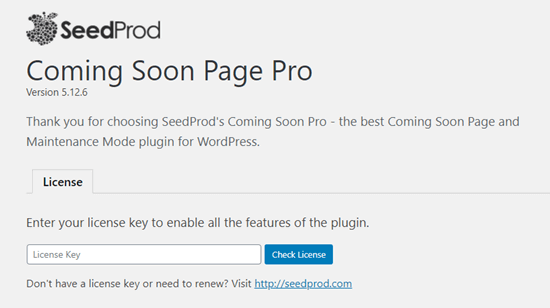 Geben Sie Ihre SeedProd-Lizenz ein.  Sie finden diese in Ihrem Kontobereich auf der SeedProd-Site.