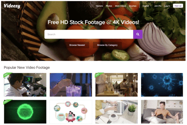 videezy kostenlose Stock-Video-Site