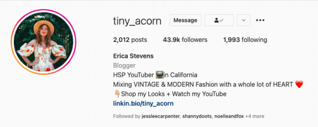 Tiny Acorn Instagram Influencer Bio