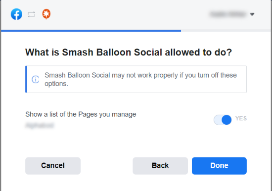 Erlaube Smash Balloon, die Seite zu verwenden