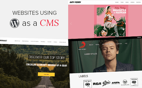 WordPress als CMS: 25 Beispiele für die Verwendung von WordPress als CMS