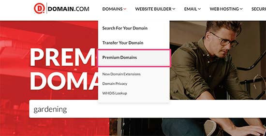 Suche nach Premium-Domains
