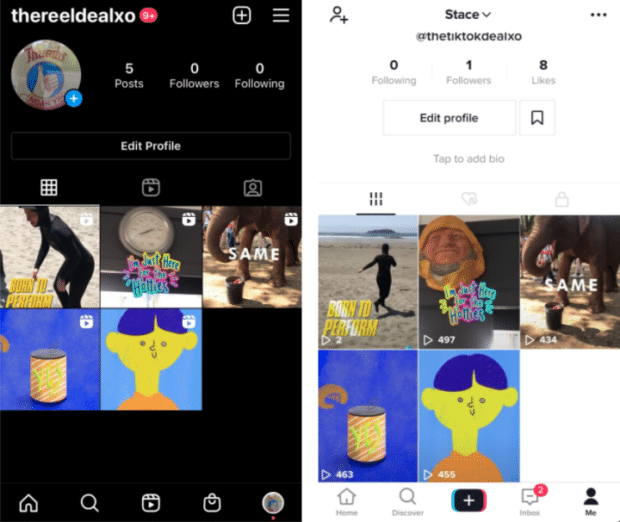 TikTok vs Instagram Reels identische kurze Videos