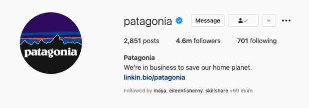 Patagonia Instagram Bio erklärt ihre Markenwerte