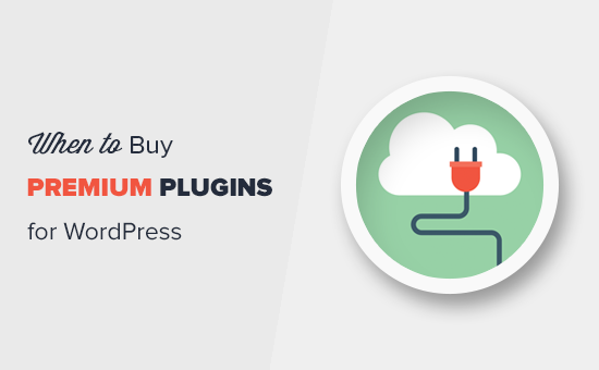 Wann lohnt es sich, Premium-WordPress-Plugins zu kaufen?