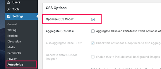 CSS in Autoptimize optimieren