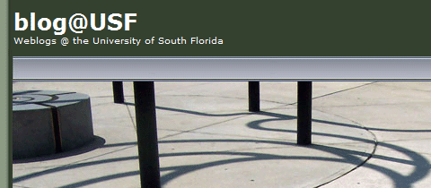 Universität von Südflorida