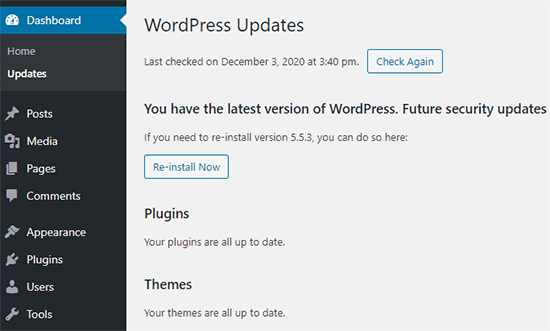 WordPress-Update-Bildschirm
