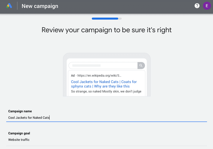 Überprüfung der Google Ads-Kampagne