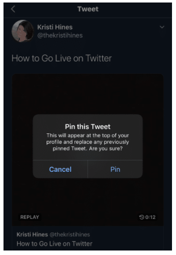 Diese Tweet-Option anheften