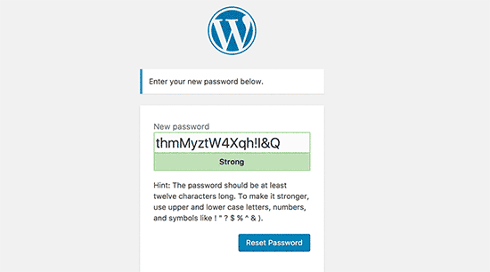Geben Sie ein neues Passwort für Ihr WordPress-Konto ein