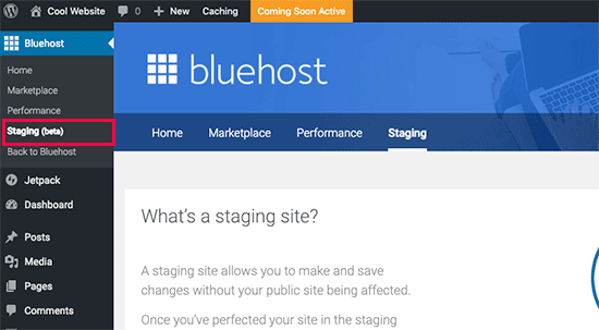 Erstellen einer Staging-Site in Bluehost