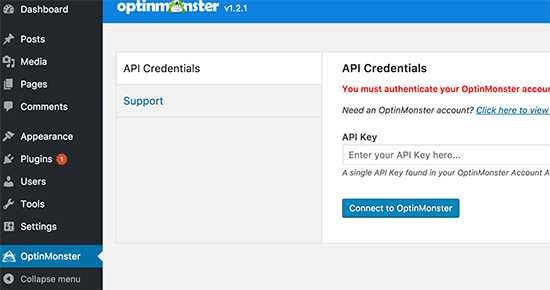 Fügen Sie Ihren OptinMonster-API-Schlüssel hinzu