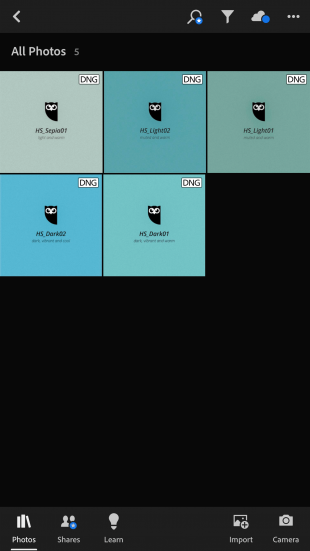 5 voreingestellte Dateien (als DNGs) in der Lightroom-App.  Sie erscheinen als blaue Quadrate mit Owly in der Mitte + Dateititel.