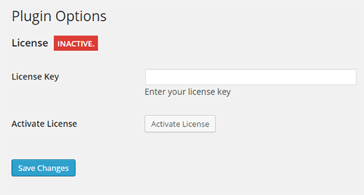 Gib deinen Lizenz-Schlüssel ein