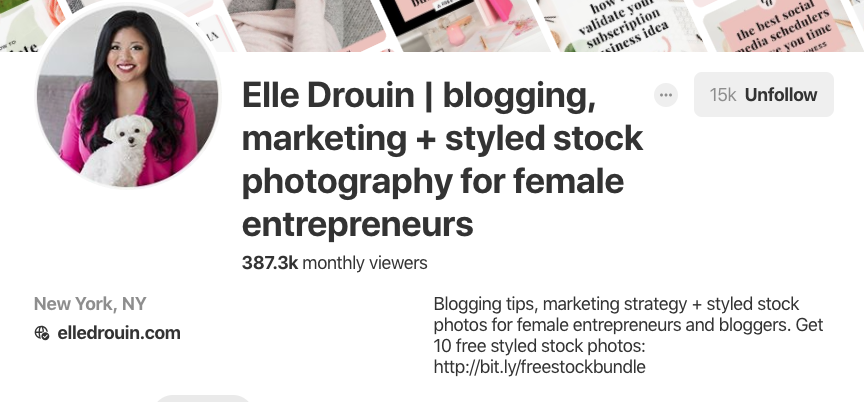 Pinterest-Biografie für Elle Drouin