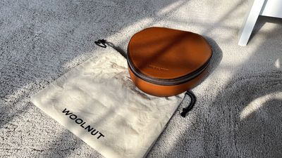 Woolnut Airpods Max Case Tasche