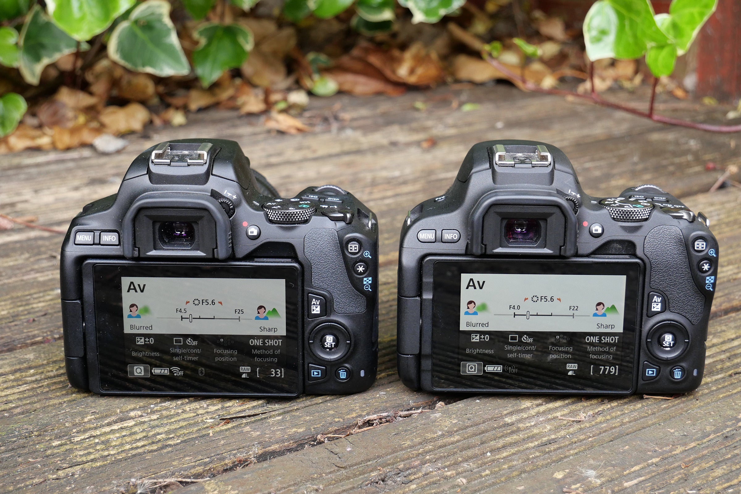 Canon 250D vs. 200D