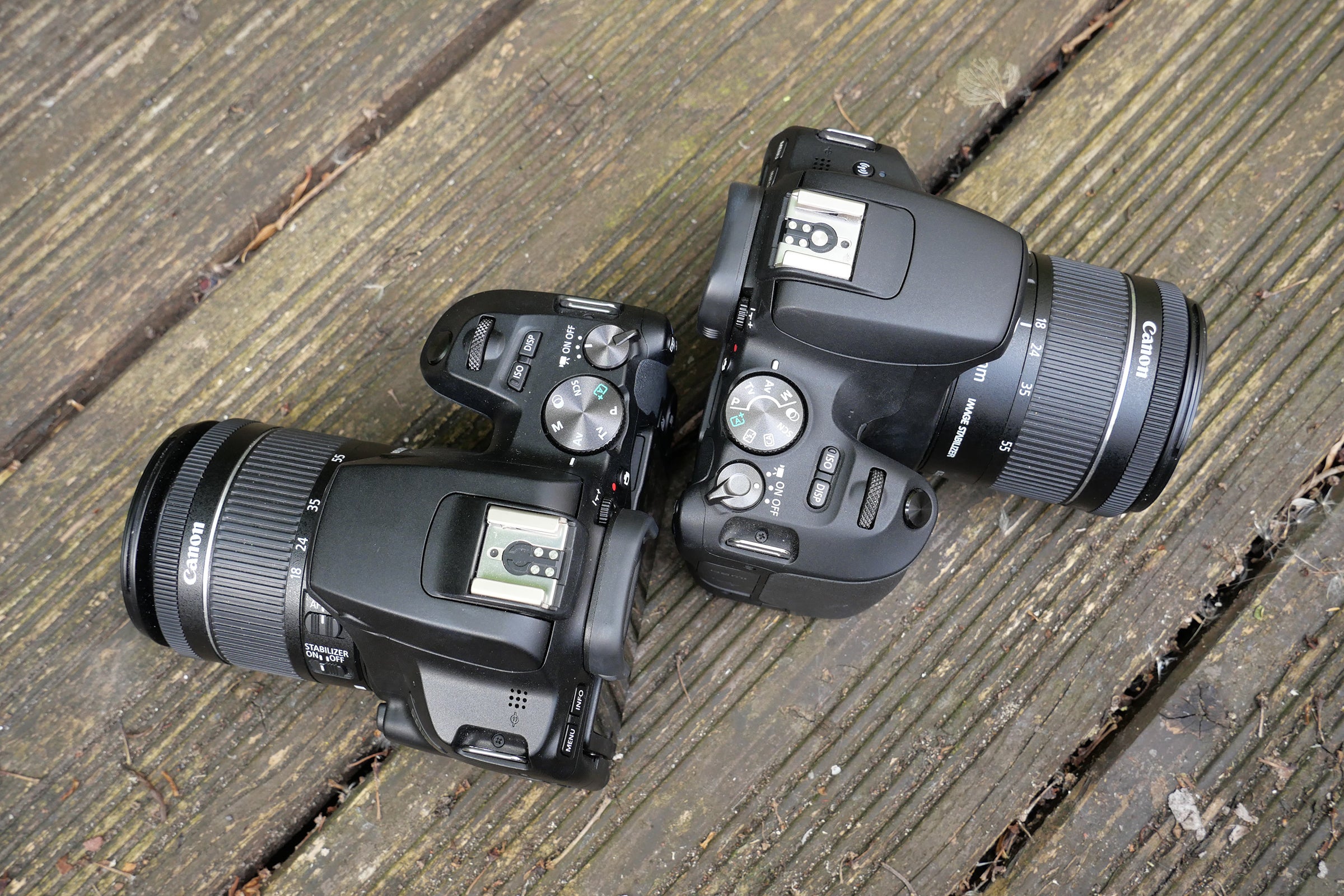 Canon 250D vs. 200D