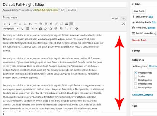 Standard-Editor in voller Höhe in WordPress