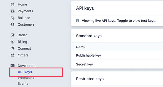 Stripe-API-Schlüssel 