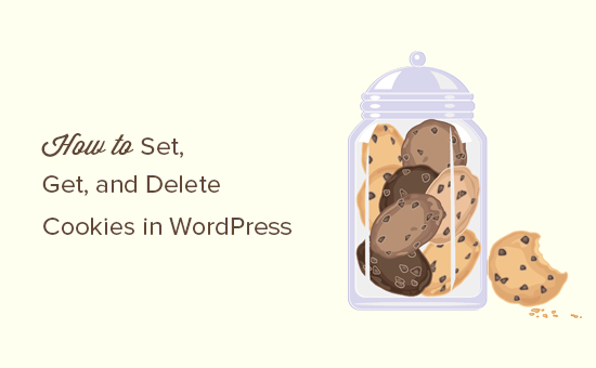 So setzen erhalten und loeschen Sie WordPress Cookies wie ein Profi