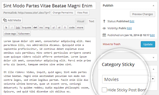 Kategorie Sticky Metabox auf dem Post-Edit-Bildschirm in WordPress