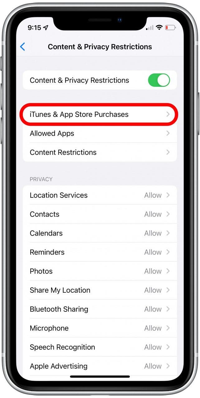 Tippen Sie auf iTunes und App-Käufe, um die Einstellungen für iTunes-Käufe anzuzeigen