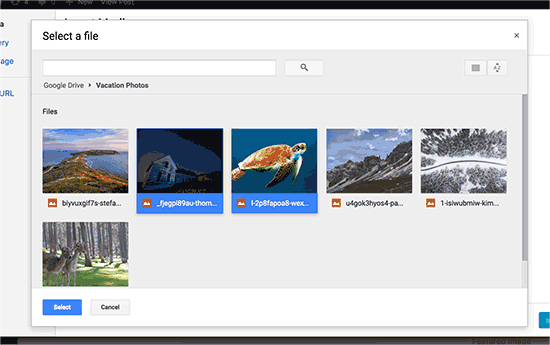 Wählen Sie die Dateien aus, die Sie aus Google Drive importieren möchten