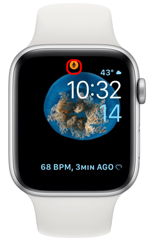 orangefarbenes Mikrofonsymbol auf der Apple Watch