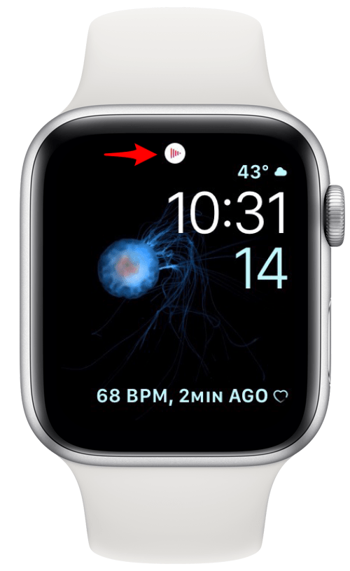 Symbol für rote Linien, das jetzt Symbol auf der Apple Watch spielt