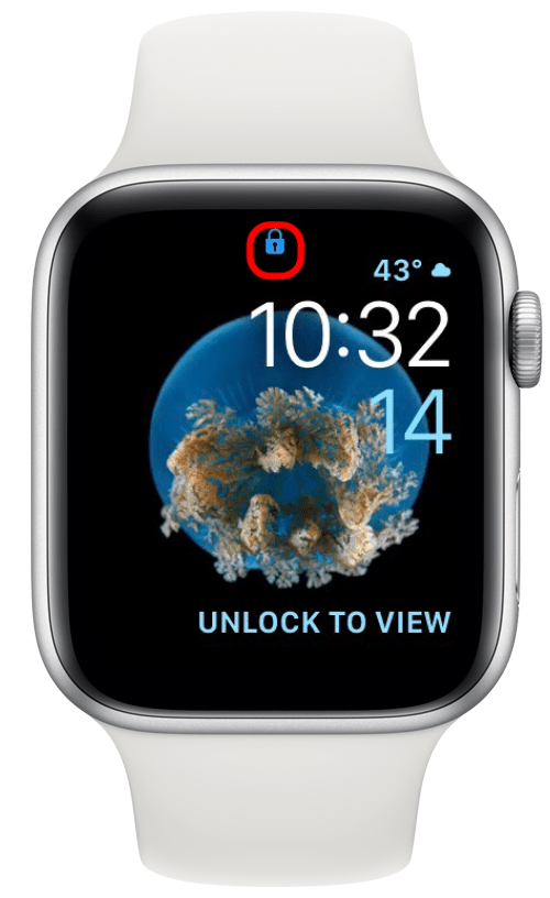 blaues Schlosssymbol auf der Apple Watch