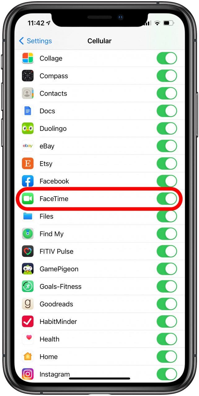 Scrollen Sie nach unten zur Liste der Apps und vergewissern Sie sich, dass FaceTime aktiviert ist.