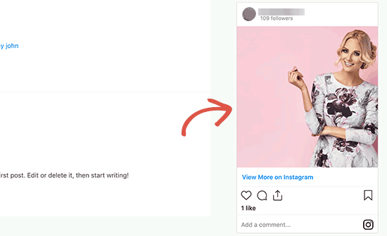 Instagram-Foto in WordPress-Seitenleiste einbetten