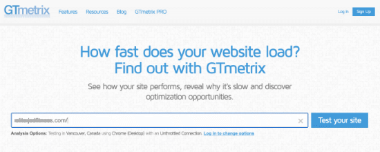 GTmetrix testet kein Plugin