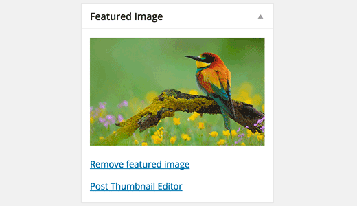 Starten Sie den Post-Thumbnail-Editor über den Post-Editor-Bildschirm