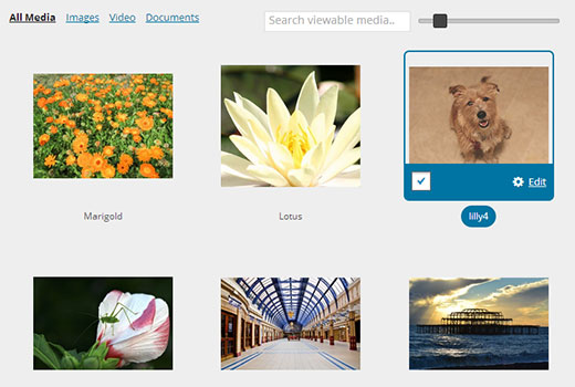 Bilder in der WordPress-Medienbibliothek werden in einem Raster angezeigt