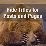 So verstecken Sie den Titel fuer ausgewaehlte WordPress Posts und Seiten