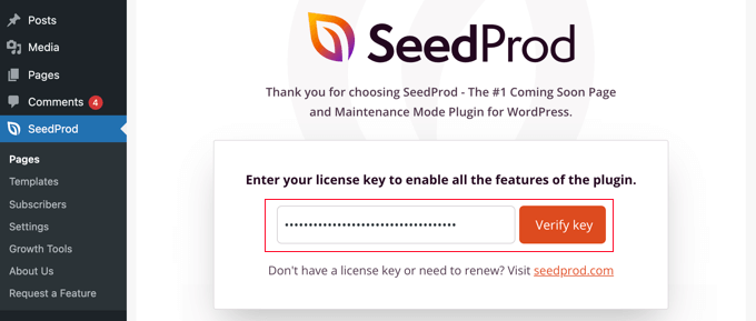 Geben Sie Ihren SeedProd-Lizenzschlüssel ein