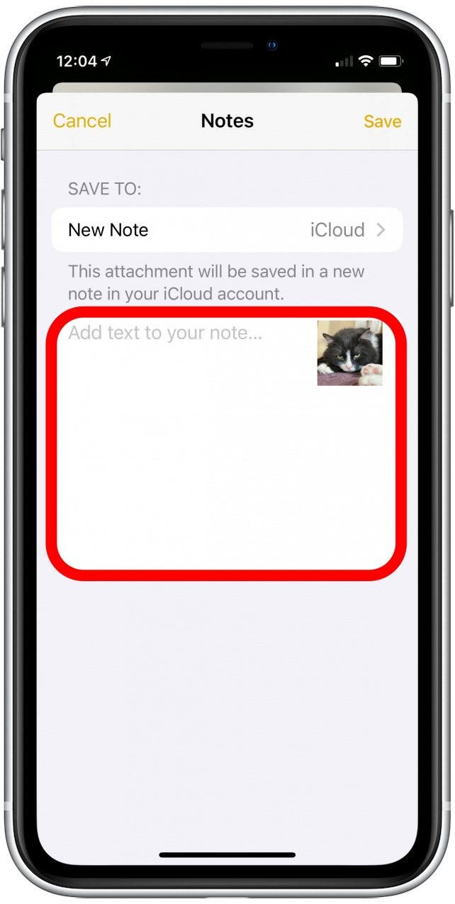 Geheime Fotos iPhone: Das Menü „Foto in Notizen teilen“ mit hervorgehobenem Textfeld