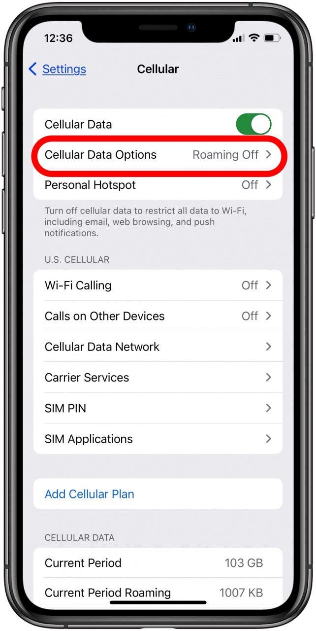 Tippen Sie auf Optionen für mobile Daten