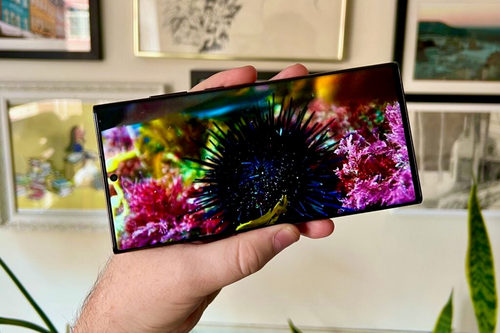Das Display des Samsung Galaxy S22 Ultra zeigt HDR-Videos