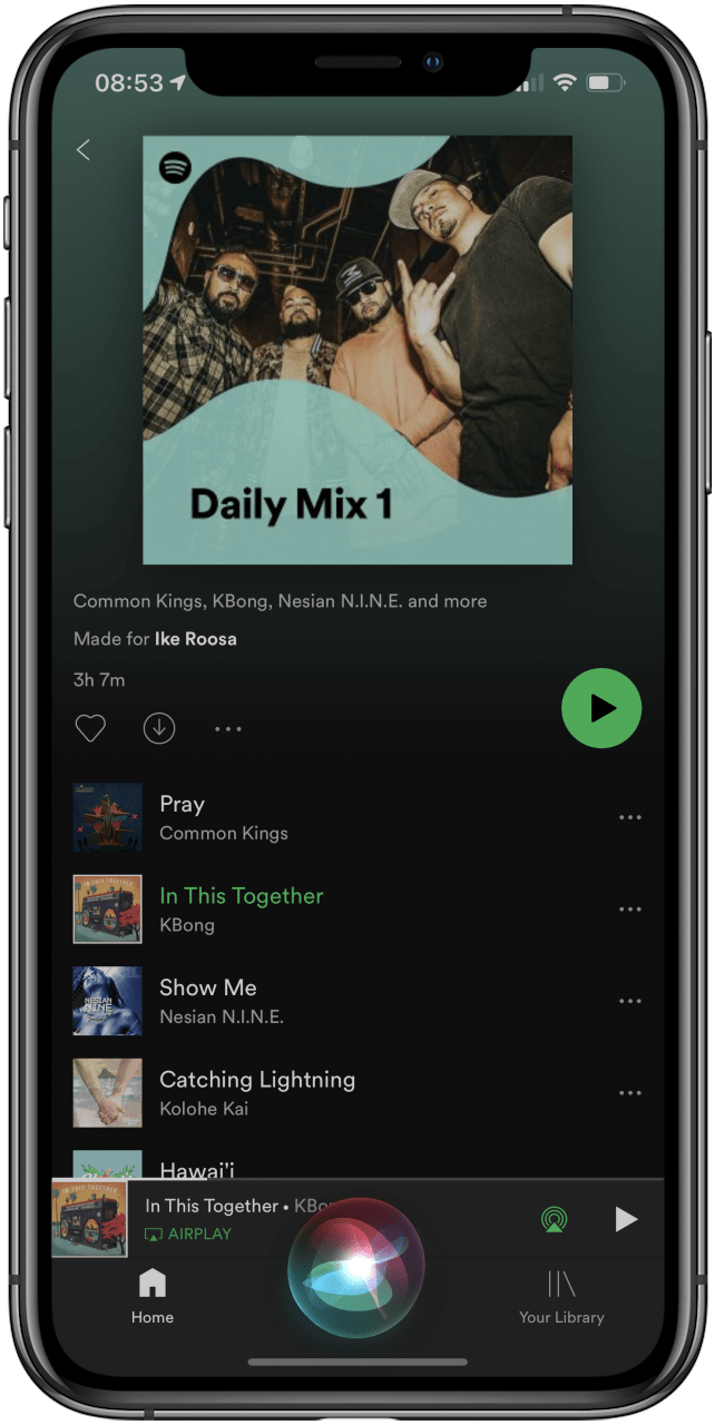 Sobald Ihr Lied abgespielt wird, können Sie Siri-Befehle wie „Hey Siri, spielen Sie das nächste Lied“ verwenden, um das nächste Lied in Ihrer Spotify-Wiedergabeliste abzuspielen.