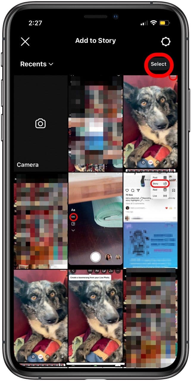 Tippen Sie auf Auswählen, um das Live-Foto auszuwählen, das auf Instagram gepostet werden soll