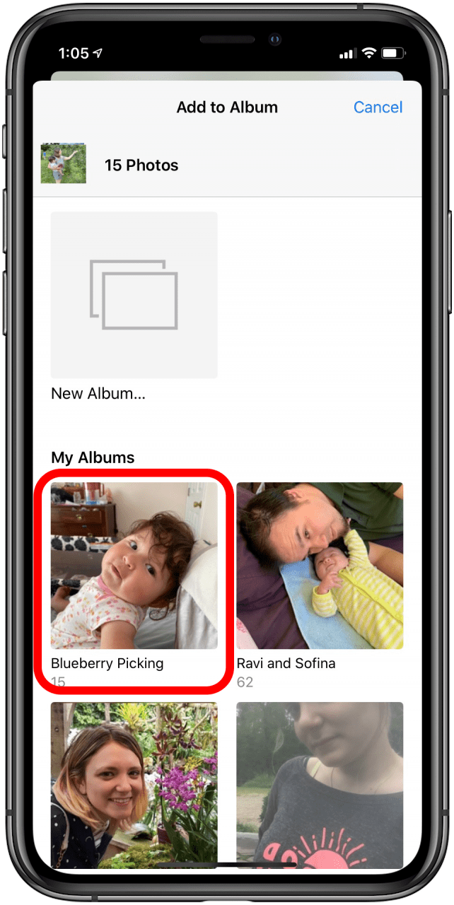 Erstellen Sie ein iOS-Fotoalbum