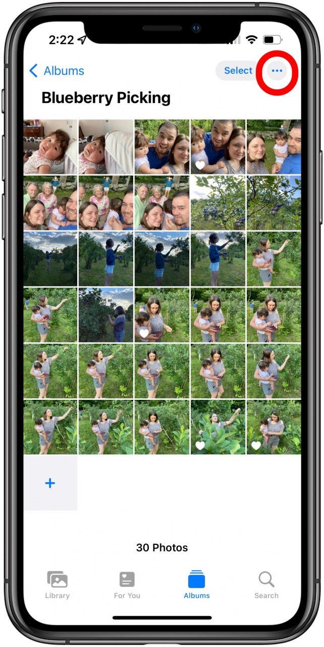 Wie organisiert man Fotos auf dem iPhone?