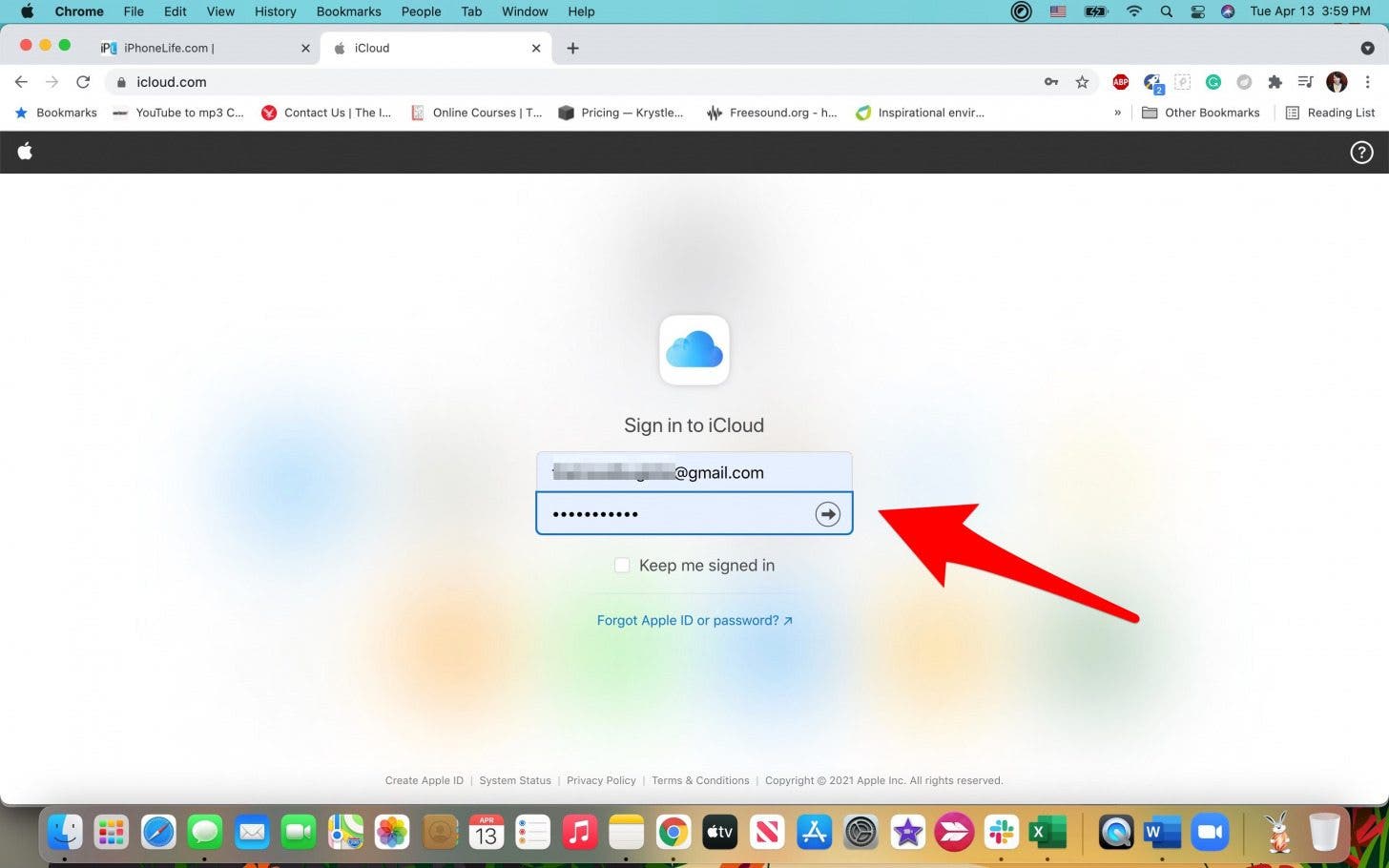 Melden Sie sich mit Ihrer Apple-ID bei iCloud an.